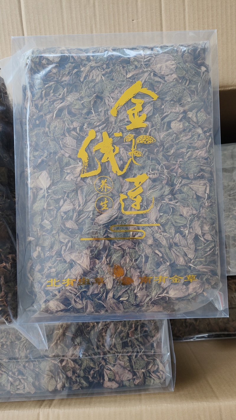 福建南靖正宗林下种植金线莲干品煲汤煮水整株特级精选干品