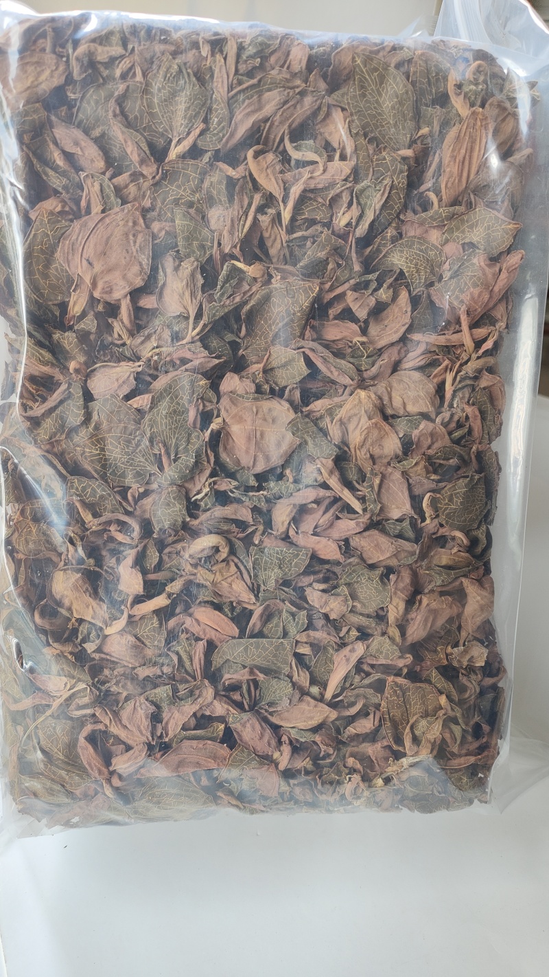 福建南靖正宗林下种植金线莲干品煲汤煮水整株特级精选干品
