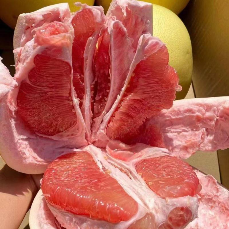 福建平和红心三红柚皮薄多汁颗粒饱满口感清甜