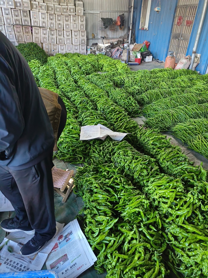 芜湖椒