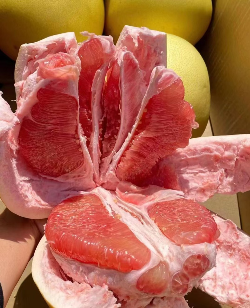 福建平和红心三红柚皮薄多汁颗粒饱满口感清甜