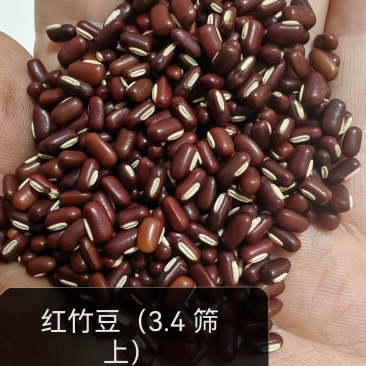 红竹豆白凤豆