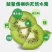 徐香猕猴桃，一手货源，精品猕猴桃徐香大量上市