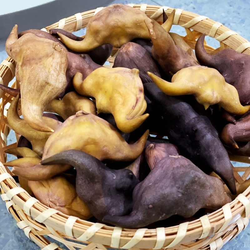 湖北洪湖新鲜老菱角，店管家对接抖音落地配送，大货一件代发
