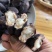 湖北洪湖新鲜老菱角，店管家对接抖音落地配送，大货一件代发