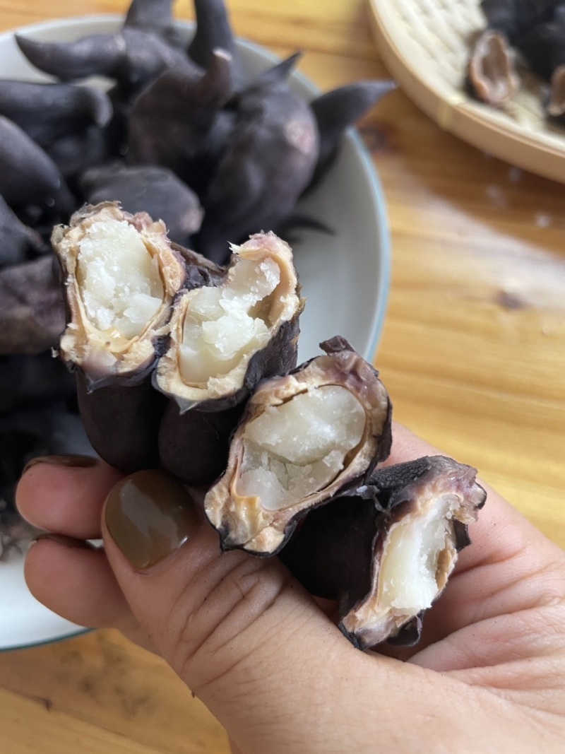 湖北洪湖新鲜老菱角，店管家对接抖音落地配送，大货一件代发