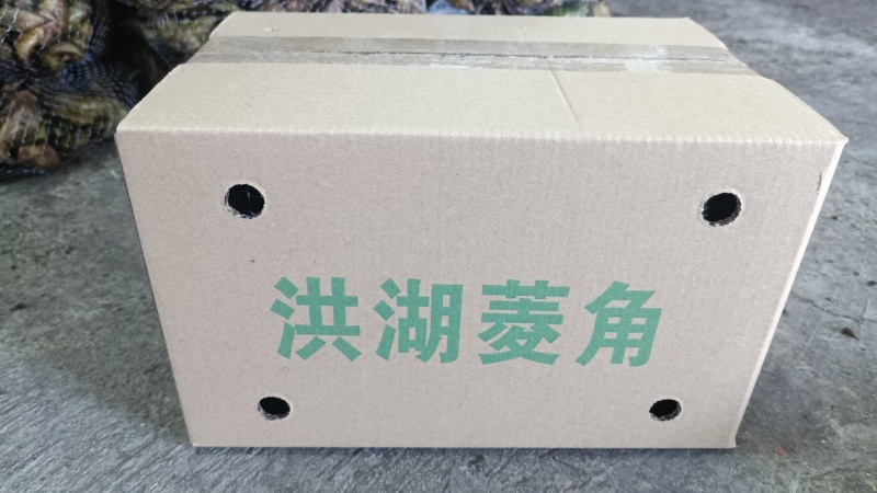 湖北洪湖新鲜老菱角，店管家对接抖音落地配送，大货一件代发