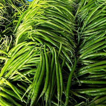 山东鲜辣椒，8号线椒，黄线椒大量上市