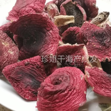 天然野生红菇菜菇煲汤食材