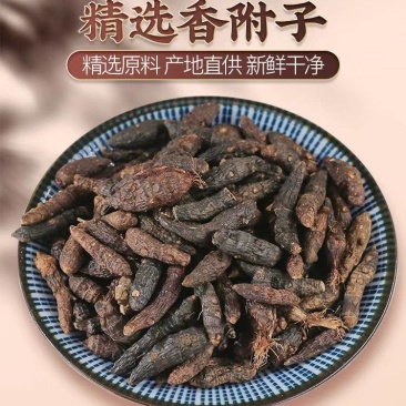 包邮）香附中药材500克精选新货香附子生香附卫