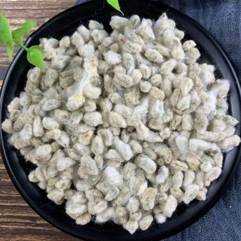 新疆棉籽