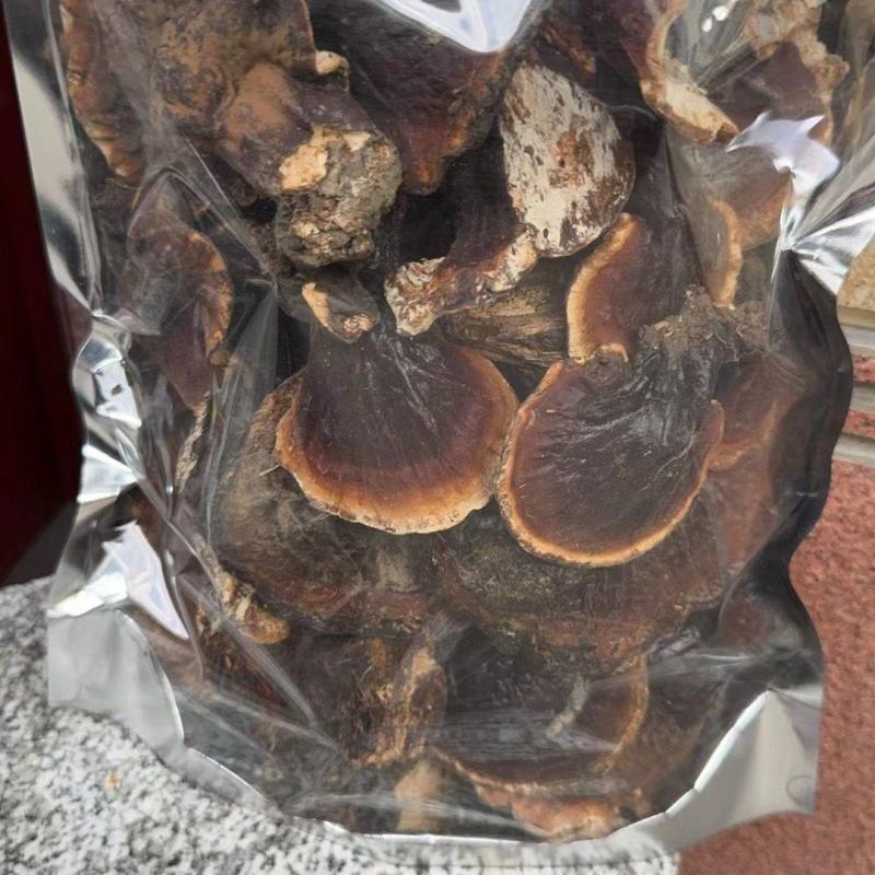 灵芝，野生灵芝，常年供应全国接单，可批发零售欢迎咨询下单