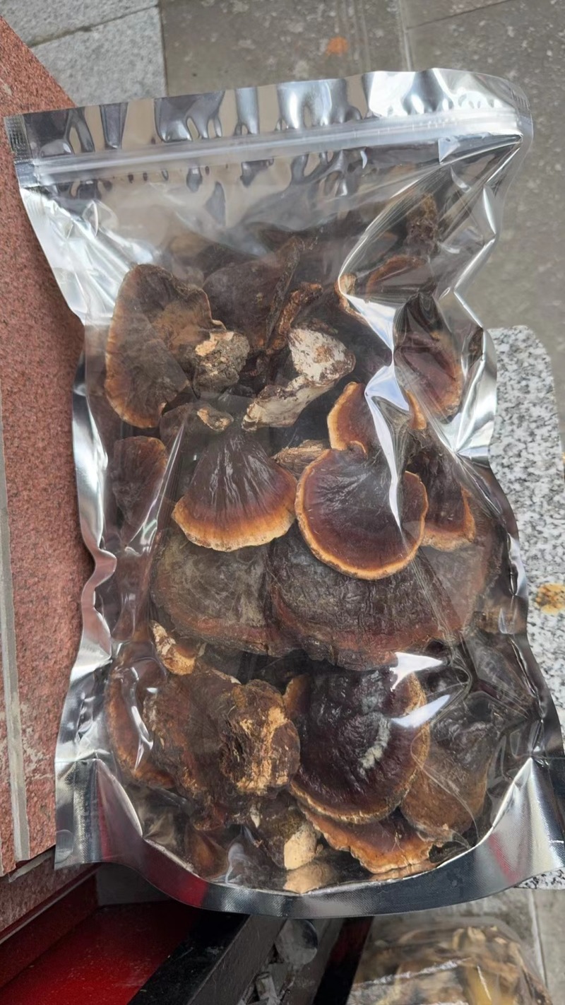 灵芝，野生灵芝，常年供应全国接单，可批发零售欢迎咨询下单