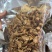 【黄丝菌】鸡油菌四川鸡油菌，原产地直发，规格齐全品种多样