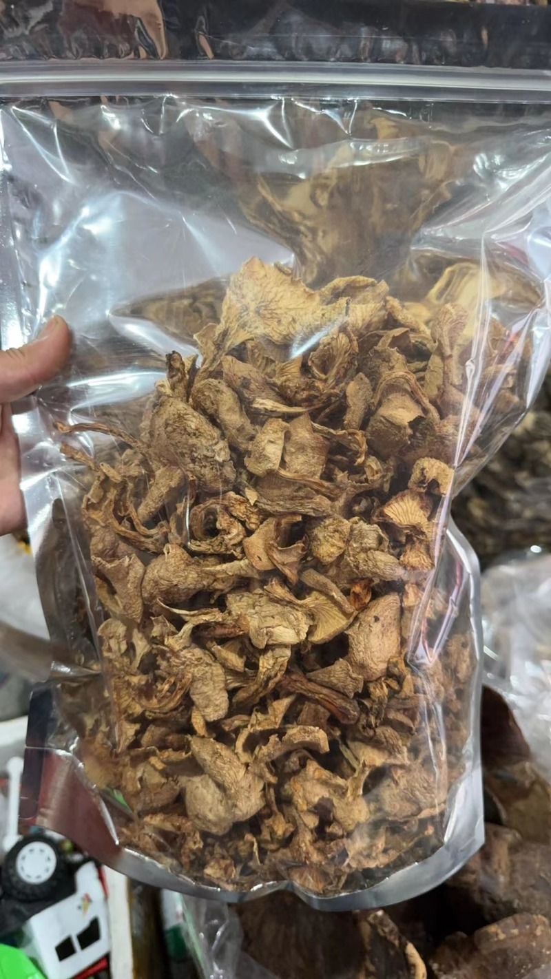 【黄丝菌】鸡油菌四川鸡油菌，原产地直发，规格齐全品种多样