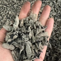 青钢木耳四川木耳，规格多价格优惠，产地直发，质量保障
