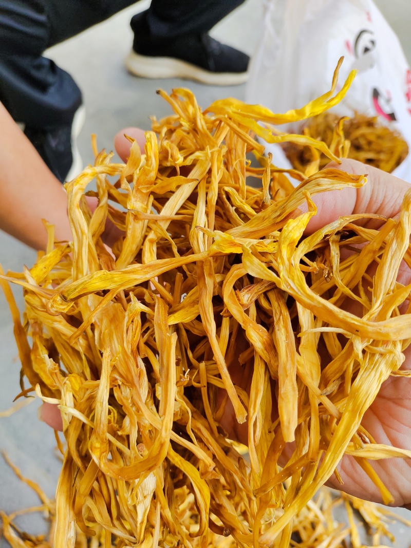 【精选二级干黄花菜】2021年新货启动黄花菜基地现发