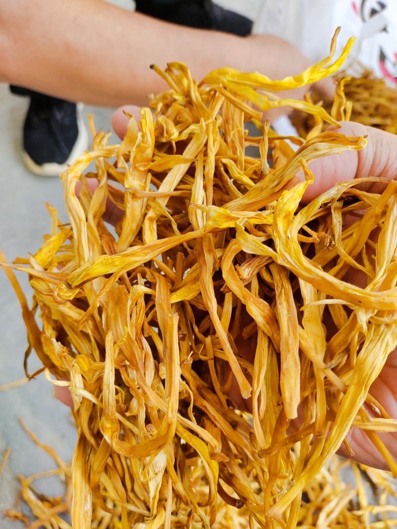 【精选二级干黄花菜】2021年新货启动黄花菜基地现发