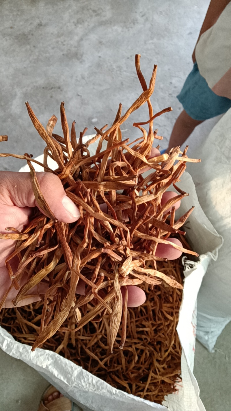 【好货推荐】湖南祁东县黄花菜西北特级干黄花菜全年供货
