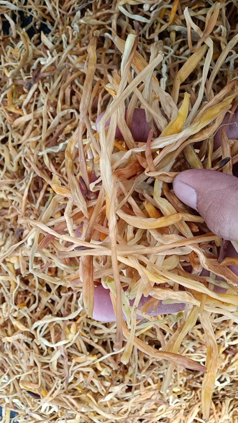 【热卖推荐】湖南新货祁东三级黄花菜