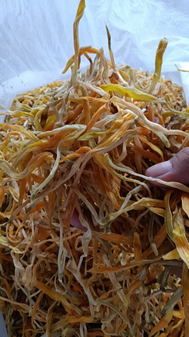 【火爆热卖中】湖南新货祁东产区保鲜黄花菜全年有货