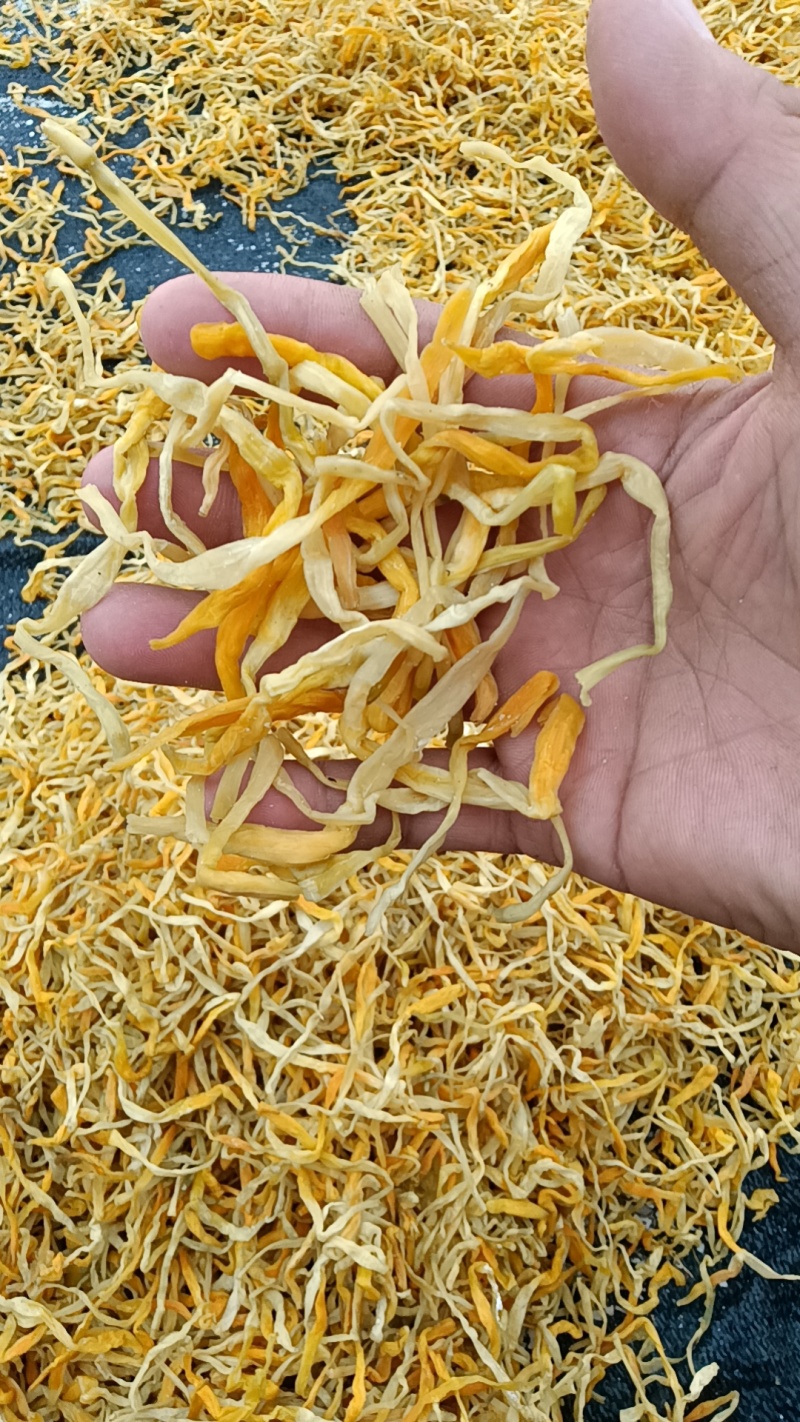【火爆热卖中】湖南新货祁东产区保鲜黄花菜全年有货