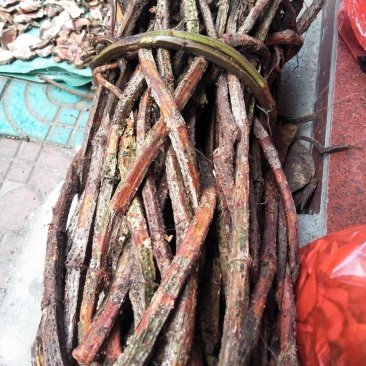 野生四方藤湿货可批发可零售，价格私聊。
