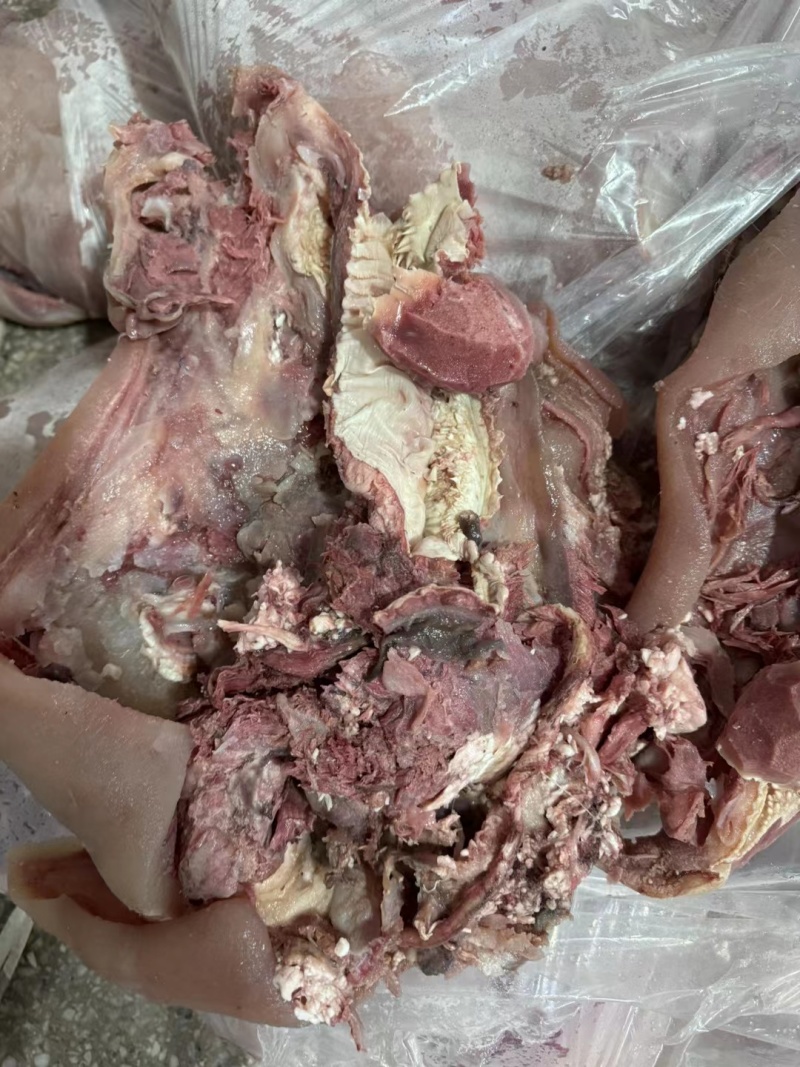 【熟牛头肉】优质牛肉资质齐全滨州厂家直销发货快电话洽谈
