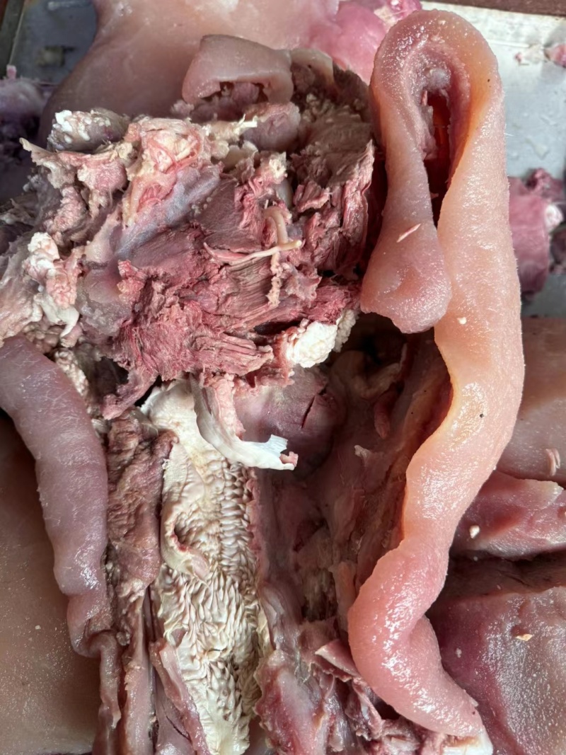 【熟牛头肉】优质牛肉资质齐全滨州厂家直销发货快电话洽谈