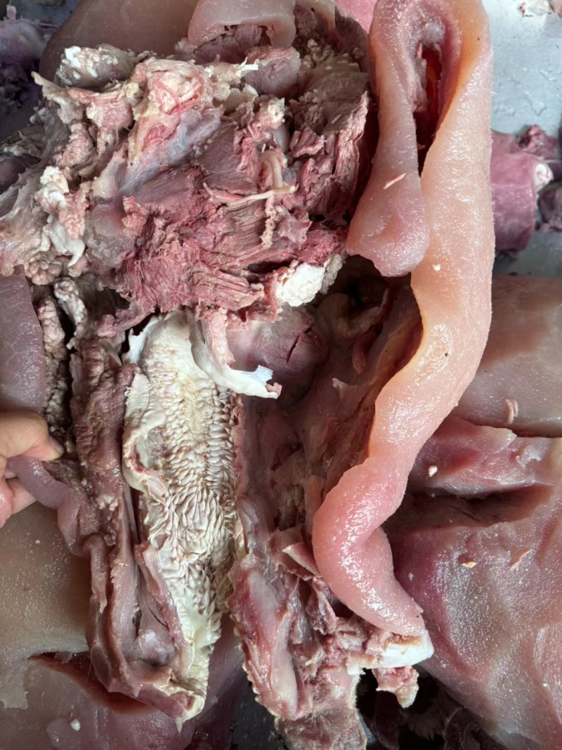 【熟牛头肉】优质牛肉资质齐全滨州厂家直销发货快电话洽谈