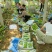 【实力推荐】万亩阳光玫瑰葡萄晴王葡萄糖度高对接商超市场