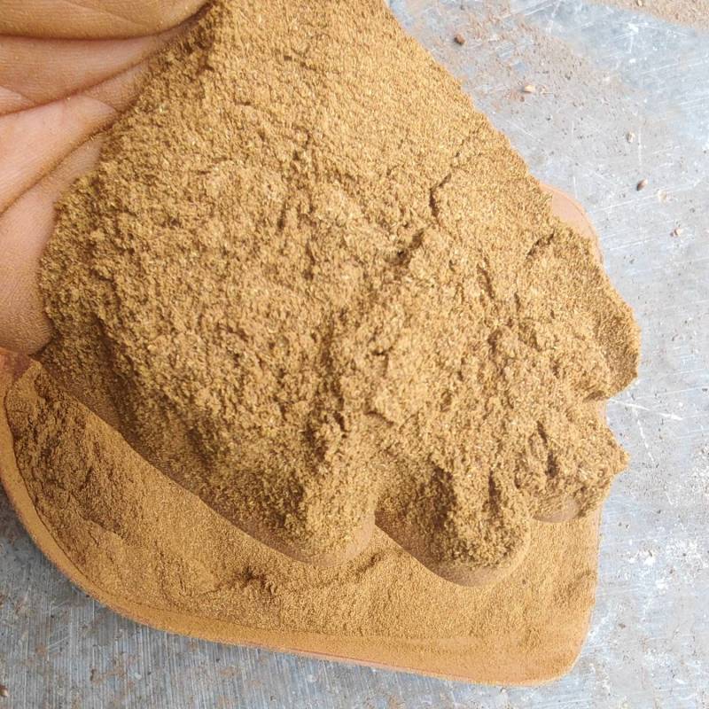 80目柏壳粉