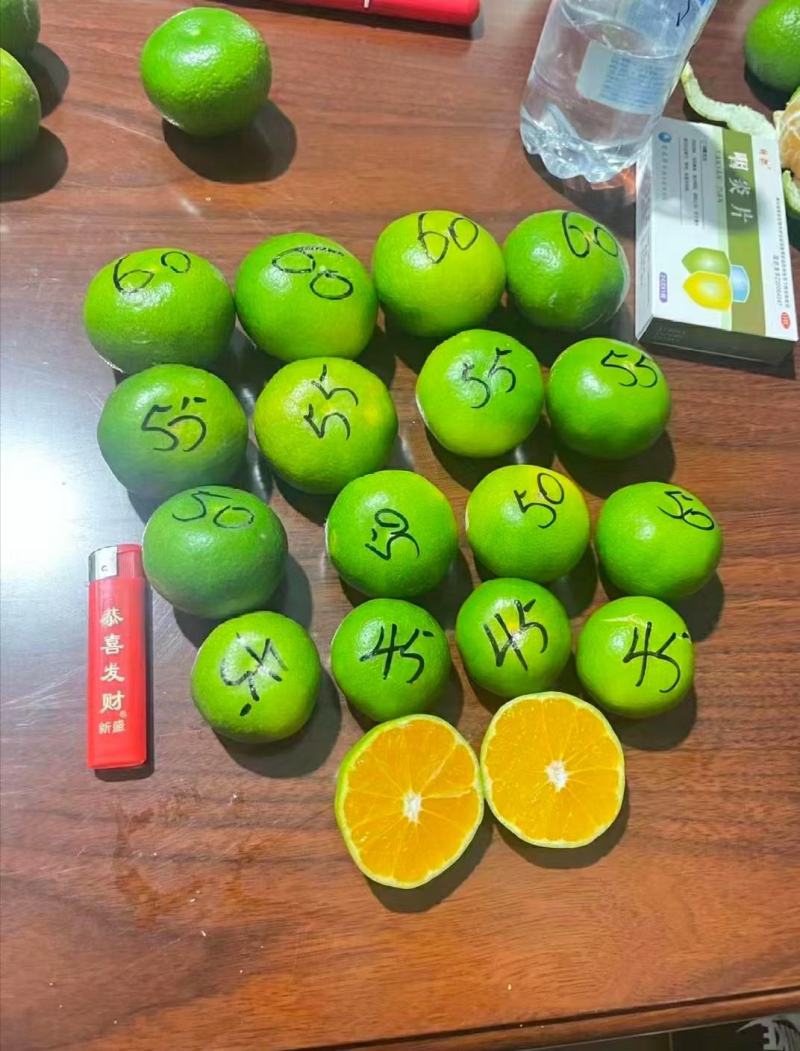 湖北宜昌蜜橘大量上市出货一手货源批发品质保证价格便宜欢迎