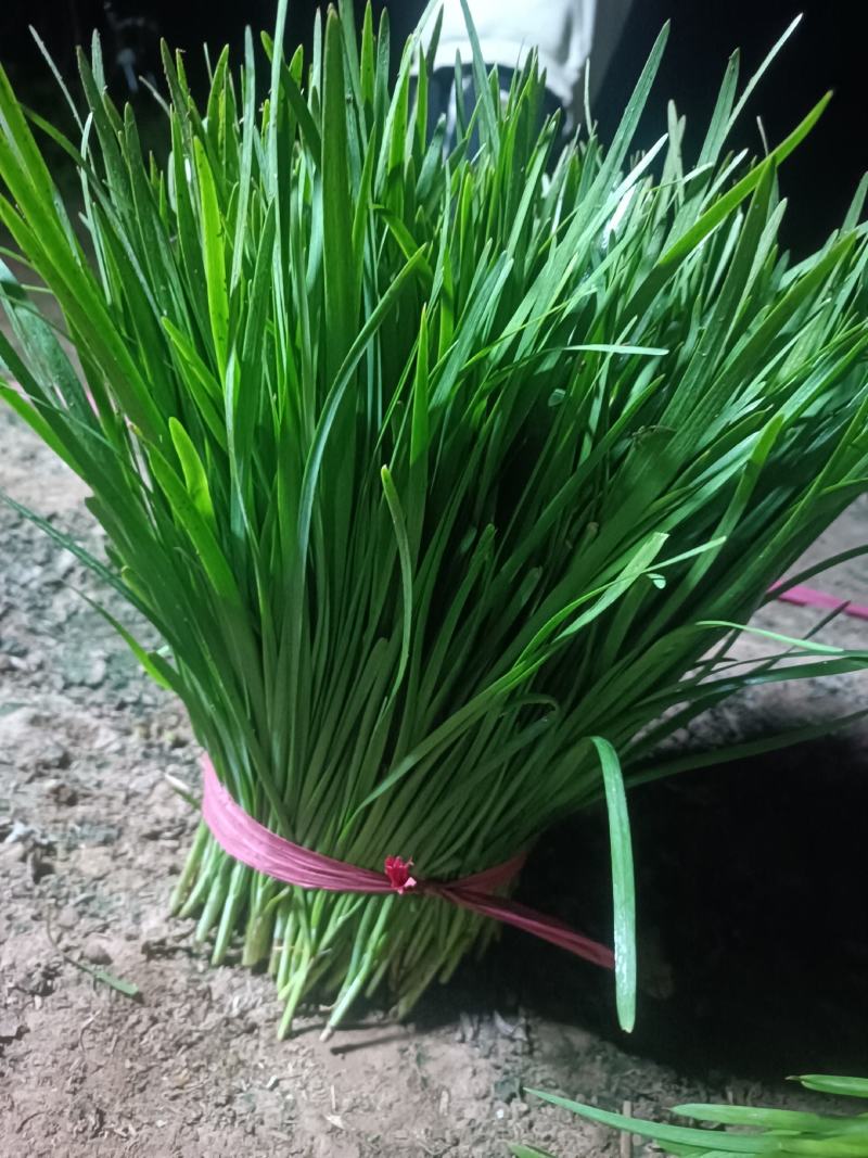 颜色黑绿