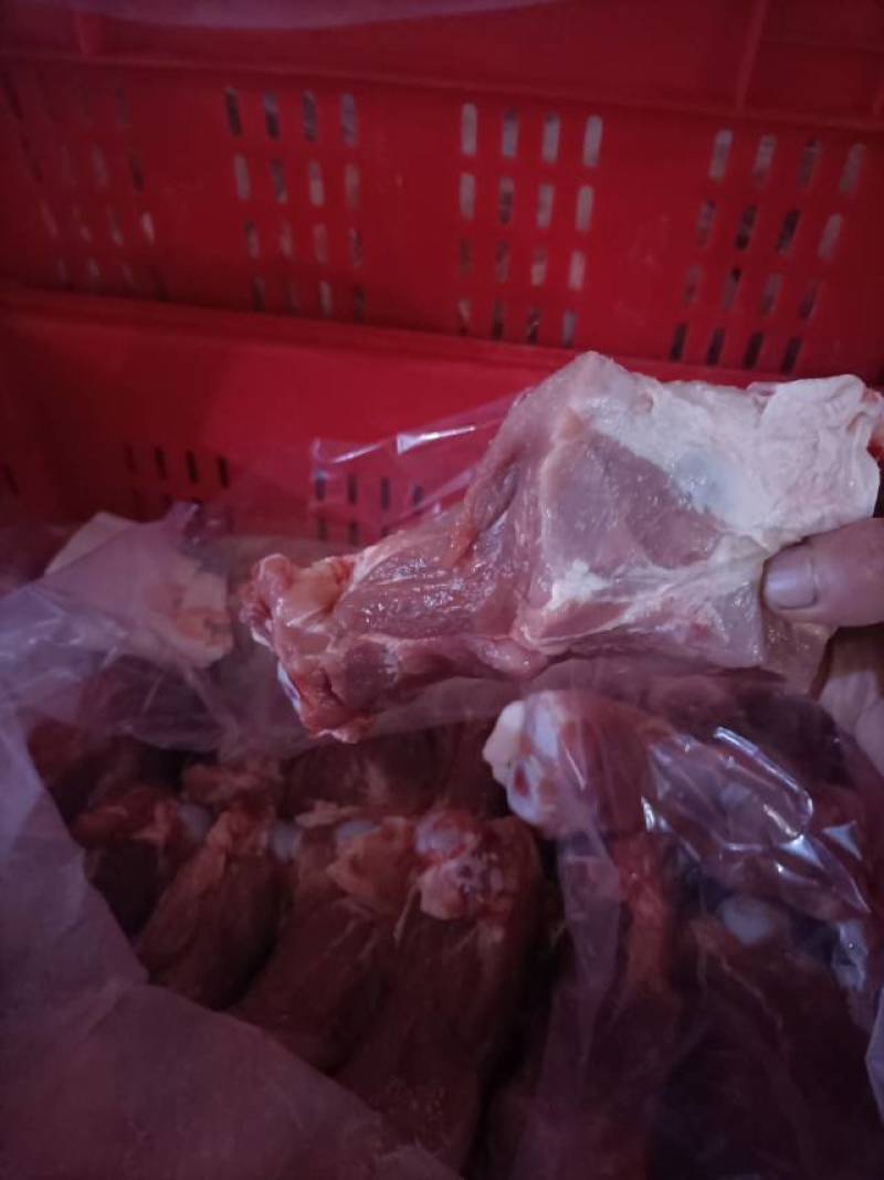 山东猪产品厂家批发