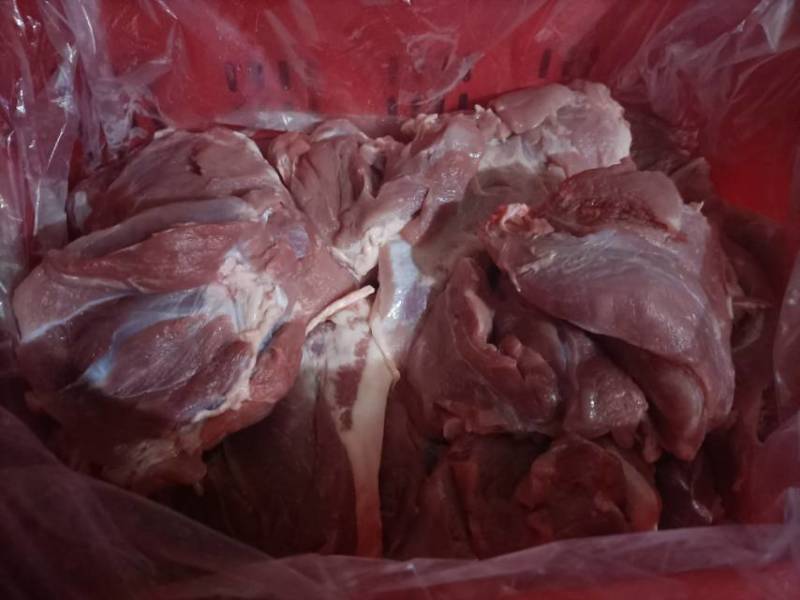 山东猪产品厂家批发