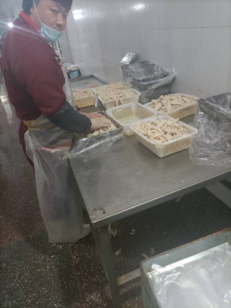 山东厂家猪副产品批发