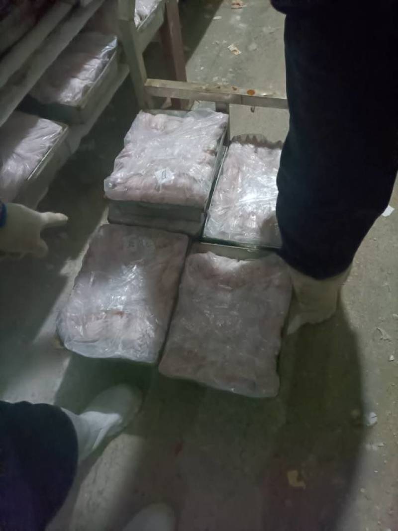 山东厂家猪副产品批发