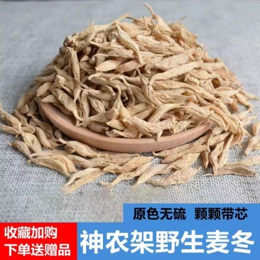 野生麦冬湖北野麦冬非种植麦冬