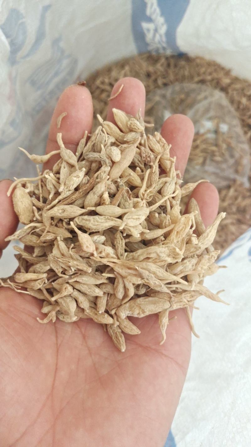 野生麦冬湖北野麦冬非种植麦冬