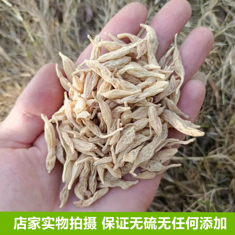 野生麦冬湖北野麦冬非种植麦冬