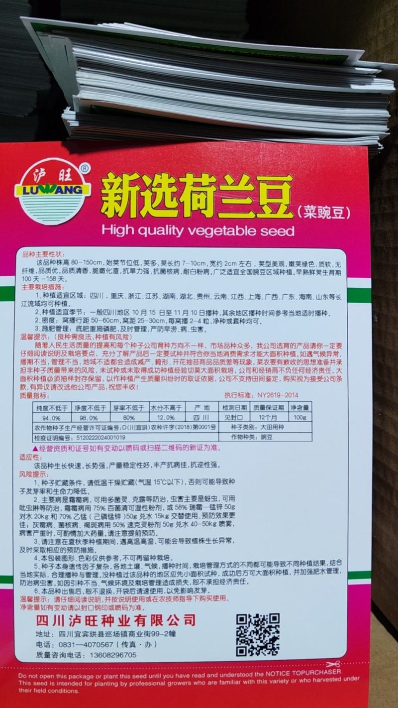 豌豆种子新选荷兰豆大荚品种清香味美鲜嫩可囗结荚量大