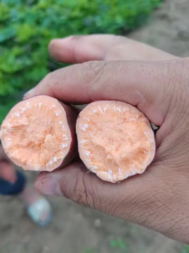 需要的来