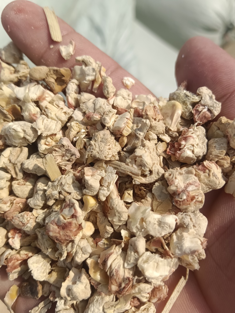 玉米芯