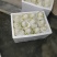 【新品上市】开封夏阳白菜现挖现发量大从优保质保量对接全国