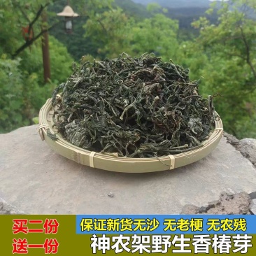 野生香椿盐干