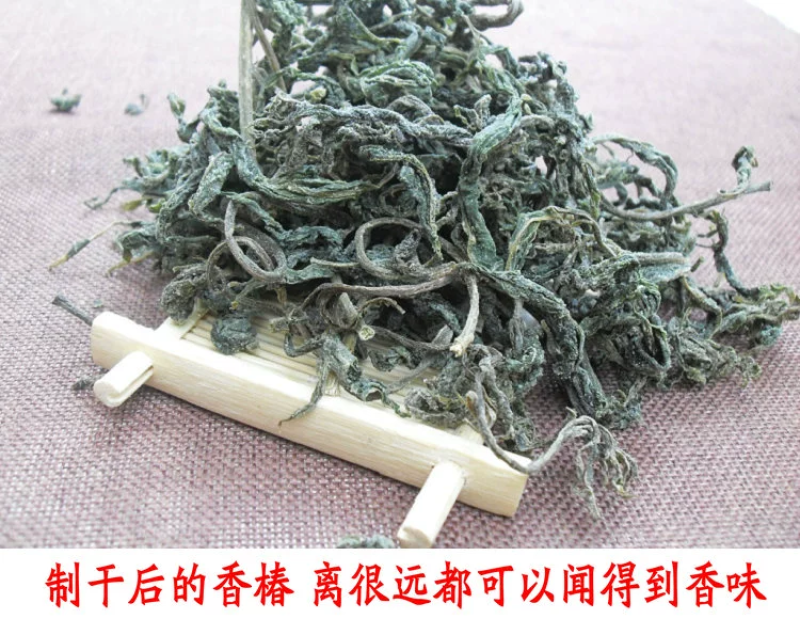 野生香椿盐干