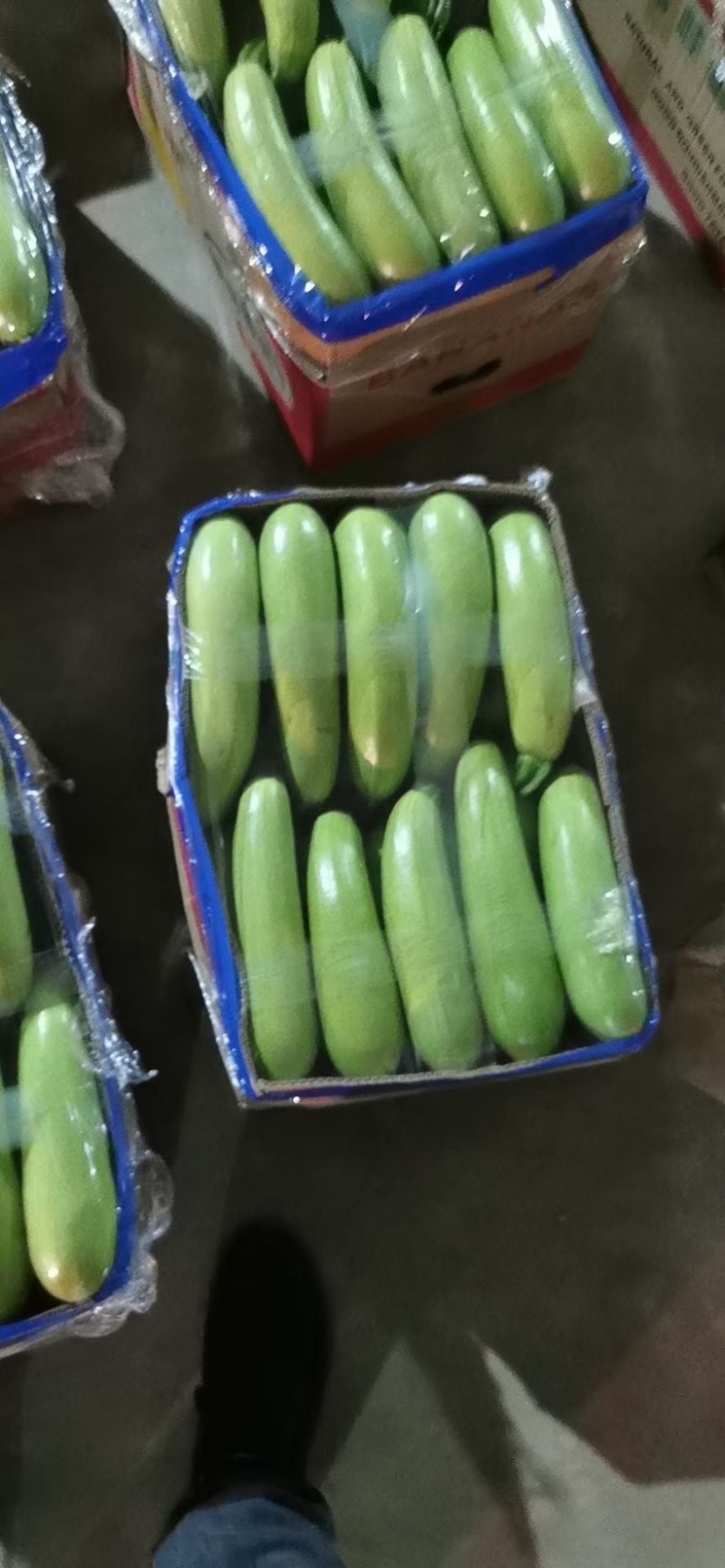 精品绿皮西葫芦，四两以上，瓜条直，颜色绿欢迎咨询