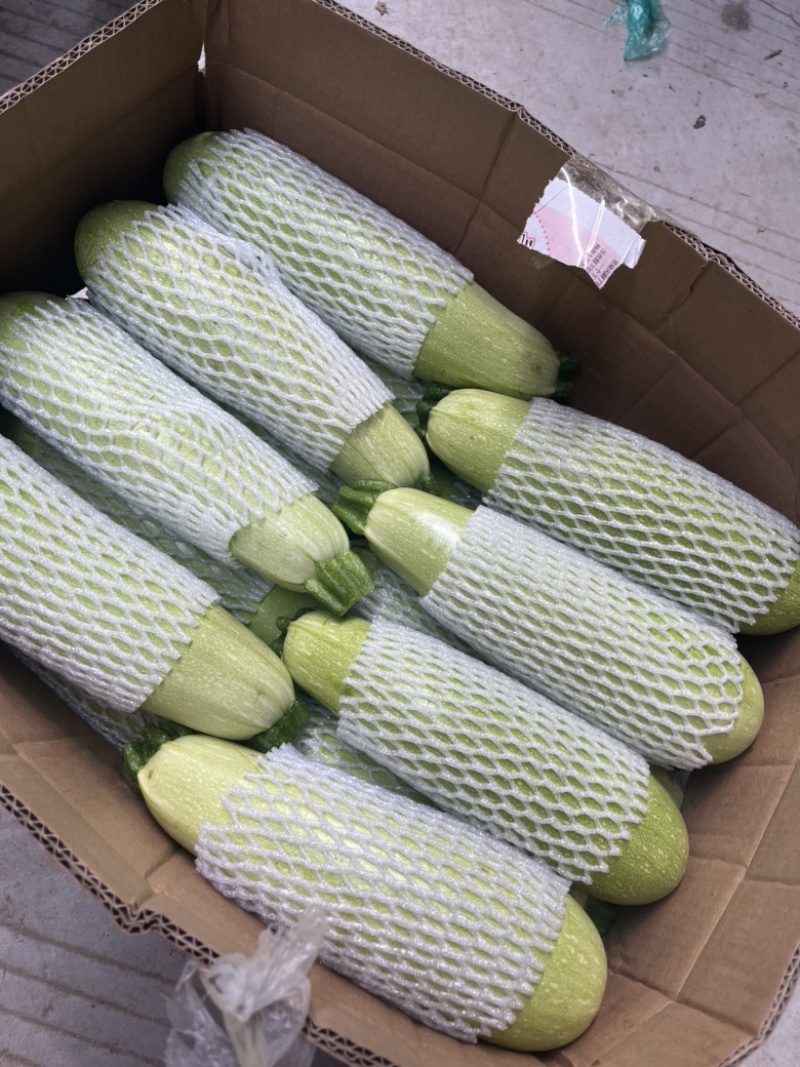 精品绿皮西葫芦，四两以上，瓜条直，颜色绿欢迎咨询