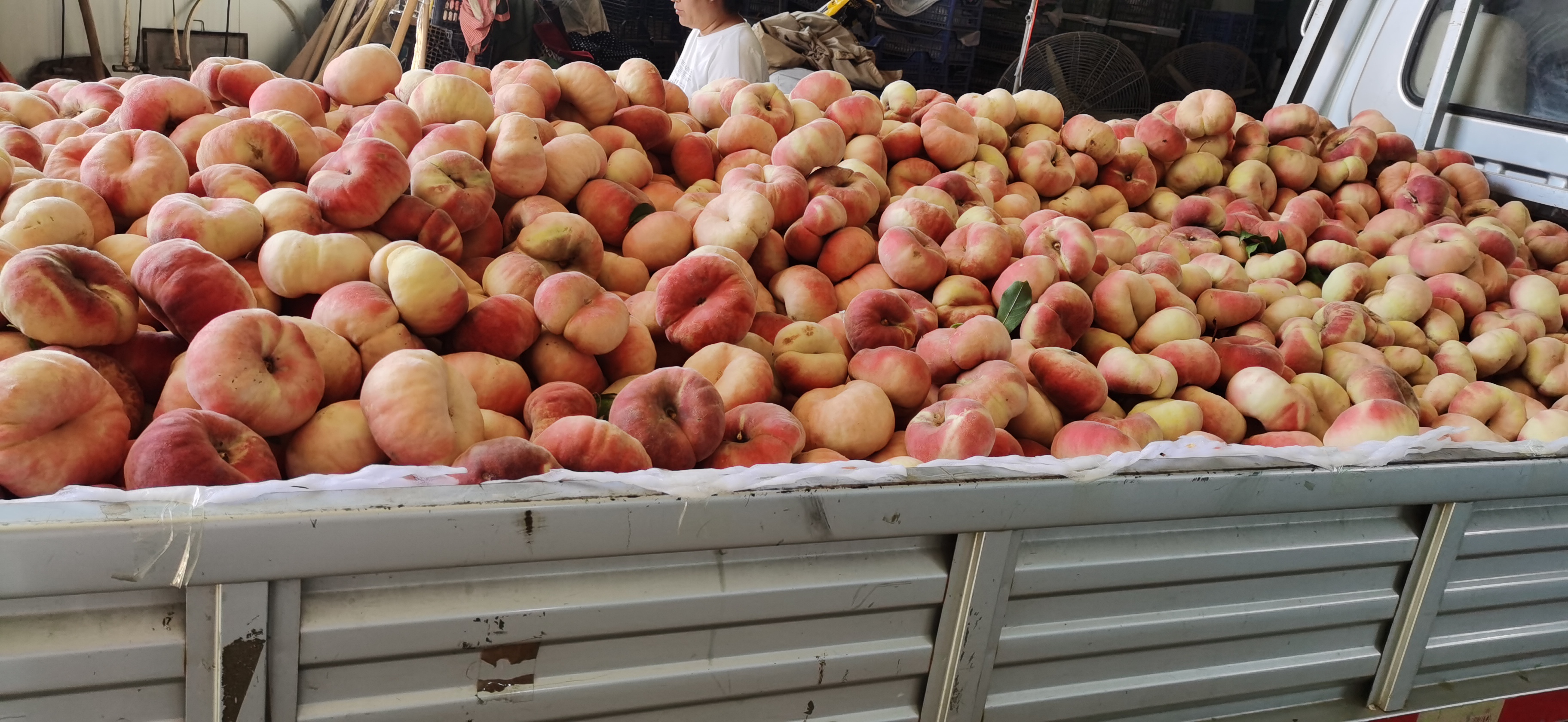 桃子直播带货现场